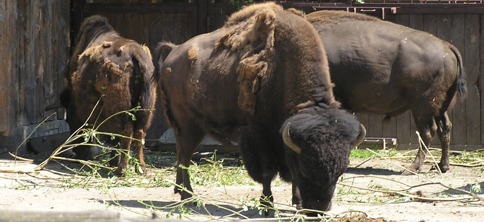 会员平台正规的在线短信轰炸测试